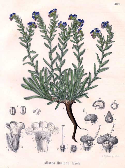 Pirosító